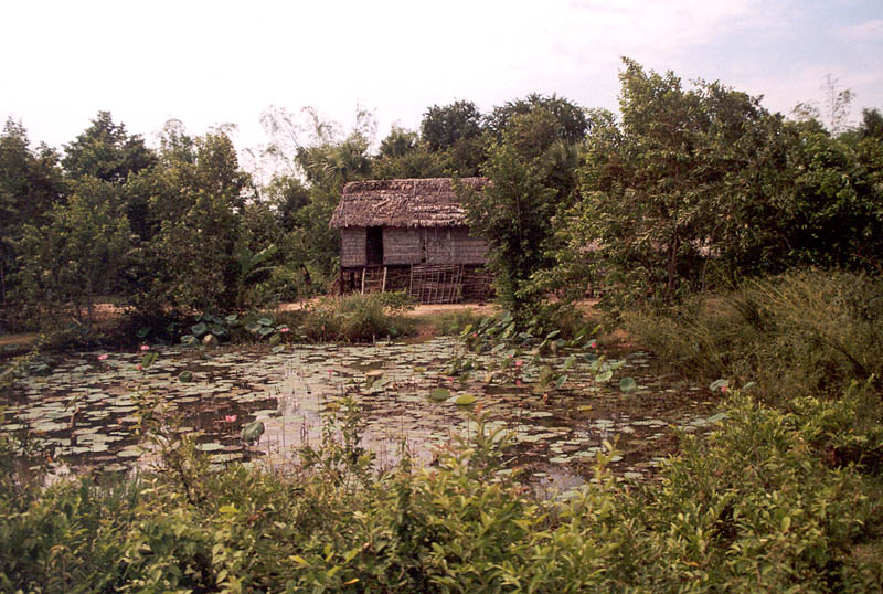 Cambodian hut
