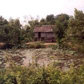 Cambodian hut
