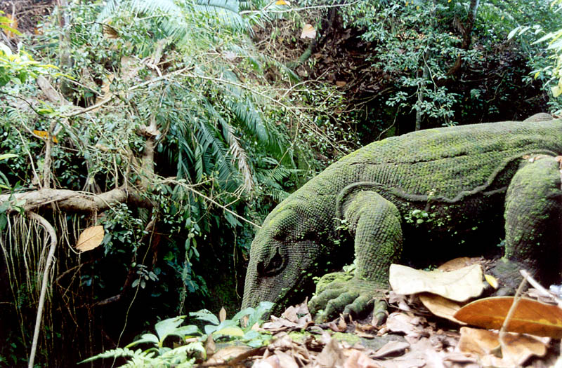 Kimodo Dragon statue