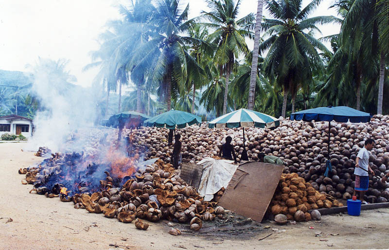 Coconut burning