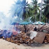 Coconut burning