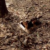 CuChi Tunnels2