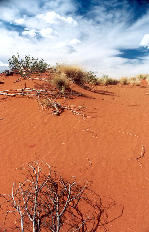 Red Dunes