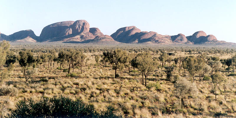 The Olgas3