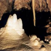 Jenolan Caves