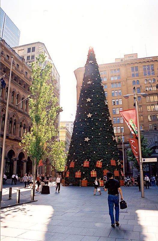 Xmas in Sydney