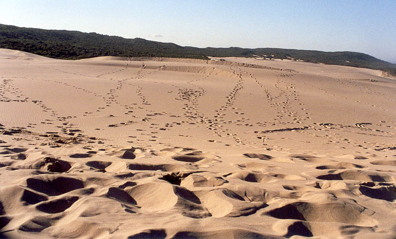 Sand dunes