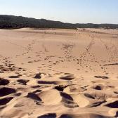 Sand dunes