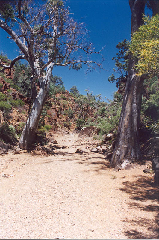 Dry River Bed