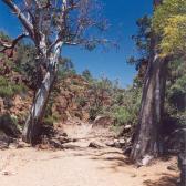 Dry River Bed