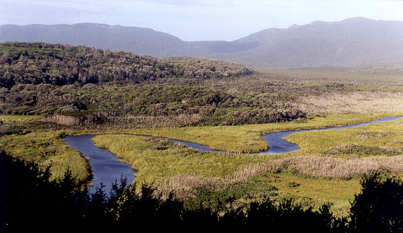 Panoramic view of Darby River