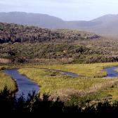 Panoramic view of Darby River