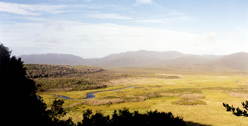View over Derby River