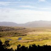View over Derby River