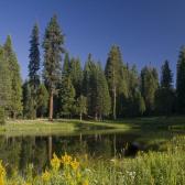 yosemite_002