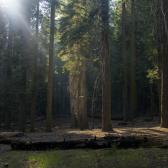 yosemite_004