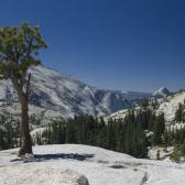 yosemite_021