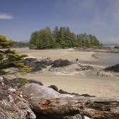 tofino_014