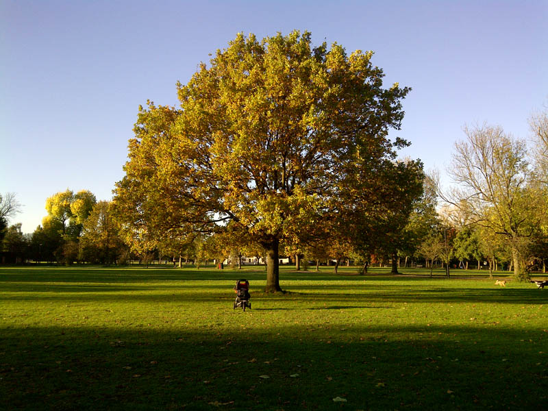 Wandsworth-20121102-00321