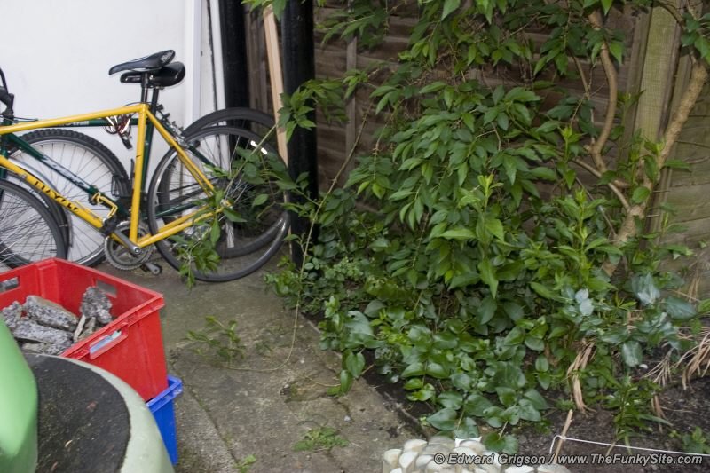 The original concrete