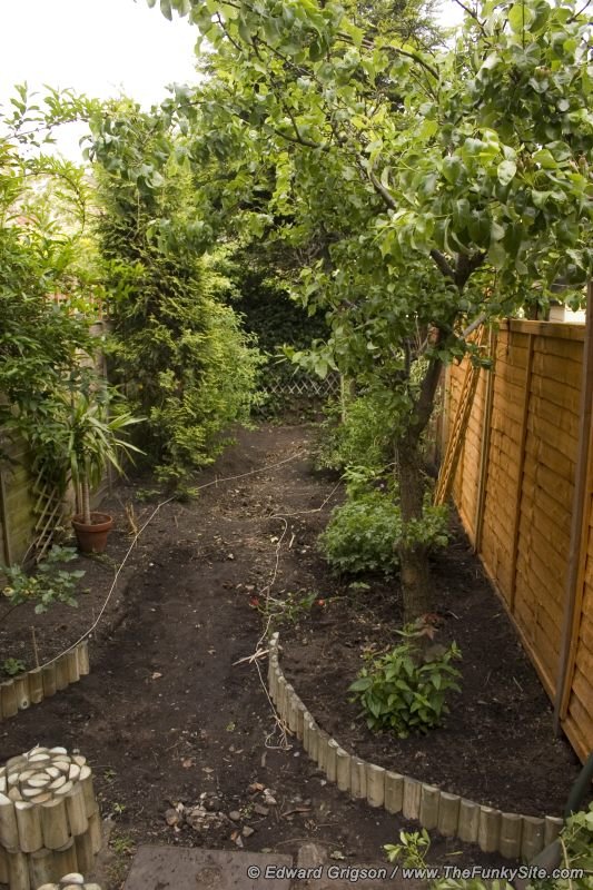 The border gets started