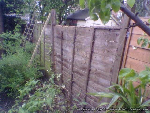 The falling down fencing