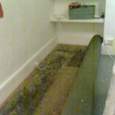 The knackered carpet goes out