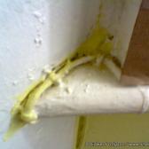 The dodgy paint jobs