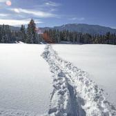 Snowfield