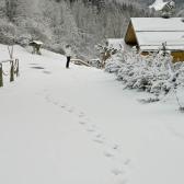 kerry-on-a-photo-mission