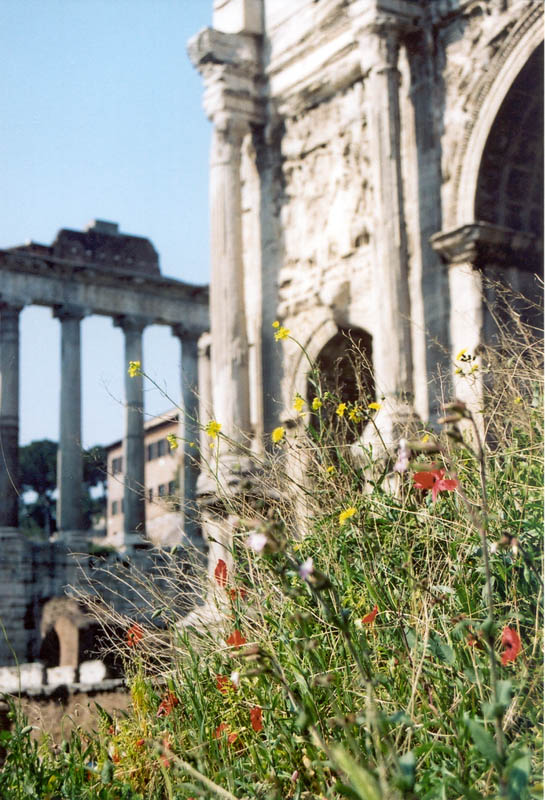 Roman ruins