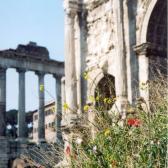Roman ruins