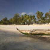 Traditional catamaran
