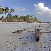 Catamaran at low tide