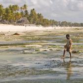 Young girl collecting seaweed