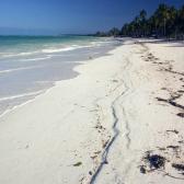 The coast near Jambiani