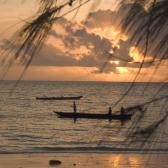 Early morning fishing