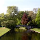 Manicured lawns near Kings College