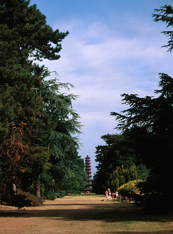 Pagoda view