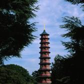 Japanese Pagoda