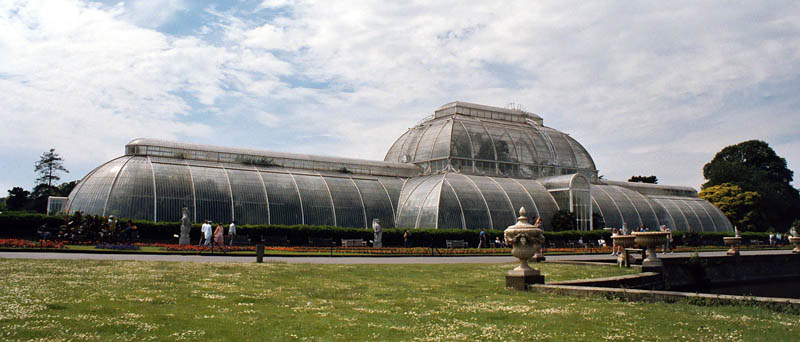 The Palm House
